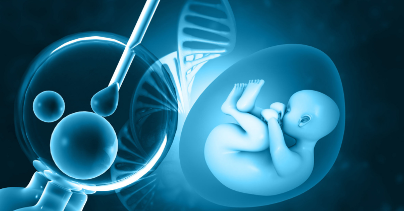 Cần chuẩn bị những gì trước khi thực hiện IVF?